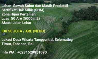 Lahan Sawah Subur Masih Produktif SHM 50 are di Tabanan Bali