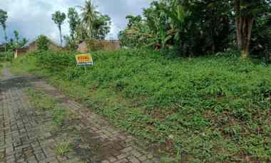 dijual tanah di bakalan bululawang malang