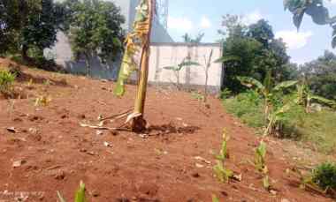 Dijual Tanah di Bulusan Tembalang Semarang