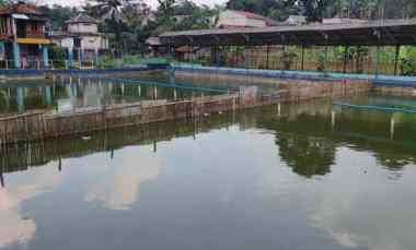 Dijual Tanah di Desa Pasir Mukti Citeureup Bogor