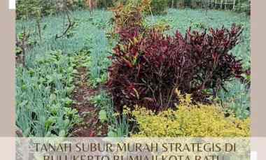 Tanah Dijual di Di Gintung, Bulukerto.