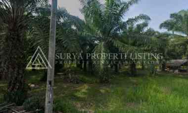 Tanah Dijual di Jalan Jl. Pinang Dua