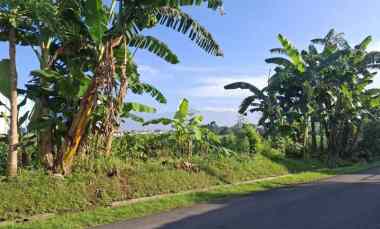 Dijual Tanah di Kebonsari, Jember - jl. Letjend Sutoyo