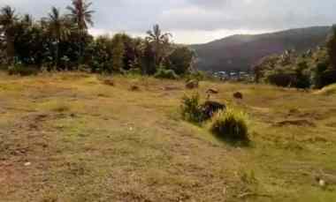 Dijual Tanah di Lombok Barat