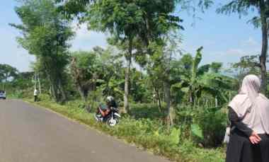Tanah Dijual di Di Purwodadi.