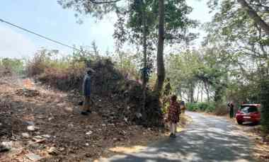 Tanah Dijual di Di Torongrejo, pinggir jalan aspal.