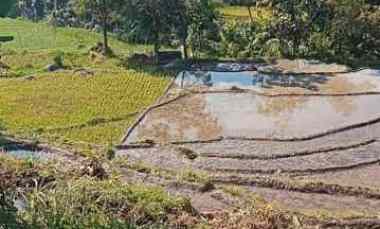 Dijual Tanah di Dusun Konang Desa Sukoreno Kec Prigen Kab Pasuruan