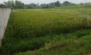 dijual tanah dijual tanah di dusun