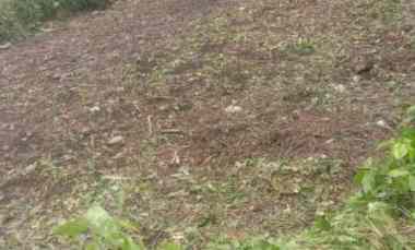 Dijual Tanah di jl Ki Ageng Gribik GG Mirej,Kec Kedungkandang