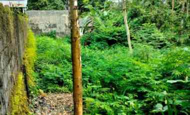 Dijual Tanah di Kaliurang Pakem Hargobinangun Sleman Yogyakarta