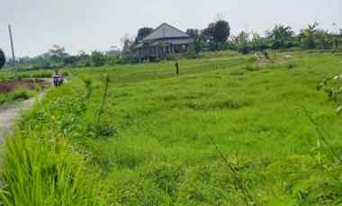 dijual tanah dijual tanah di natah