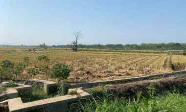 Dijual Tanah di Pinggir Jln Raya Gabugan - Gemolong, Slogo, Tanon