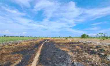 Tanah Lokasi Premium dekat Alana Hill Bisa Buat Hunian, Toko, Gudang