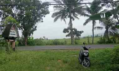 Tanah Dijual di Ds. Antosari, kec selemadeg barat, kab Tabanan bali