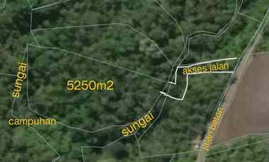 Dijual Tanah Kebun Los Sungai Murah Tempat Strategis Cocok untuk Villa