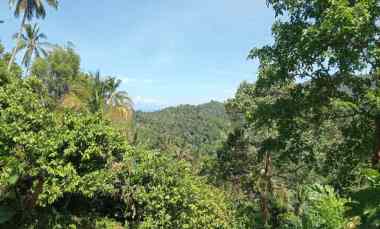 Dijual Tanah Kebun View Laut dan Perbukitan Murah Tempat Strategis