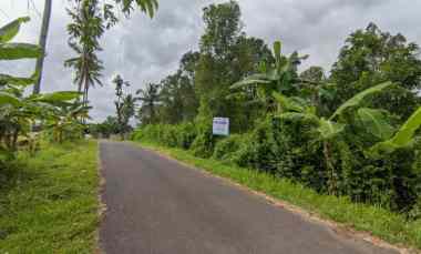 Tanah Dijual di Dusun Ledok Desa Jelun Kec. Licin Kab. Banyuwangi