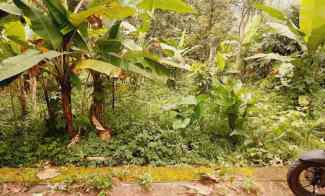 Dijual Tanah SHM Nempel Jalan di Gedawang Banyumanik Semarang