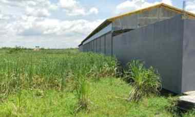 Dijual 2557 m2 Tanah Kavling Gedeg Mojokerto JAWA Timur - Jalan RAYA