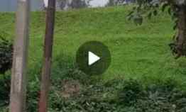 Tanah Pondok Hijau Gegerkalong dekat Setiabudi, Ciwaruga Bandung