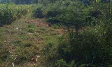 Dijual Tanah Gg.Wijaya Kusuma Kepuh Wetan