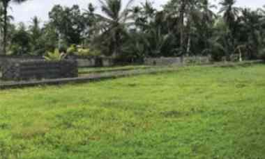 Dijual Murah Tanah 705 m2 di Bukian Village, Payangan, Gianyar, Bali
