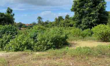 Dijual 40 are, jl. Lerrangkis Rurung Agung Ungasan Goa Gong