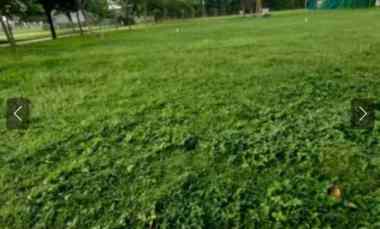 Murah Rp.6 jt-an/m2 Tanah Grand Pakuwon - South Victoria JA-8 Surabaya