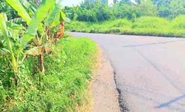 Dijual Tanah 3315 m2 di Gubug dekat Pantai Kedungu Yeh Gangga Tabanan Ba