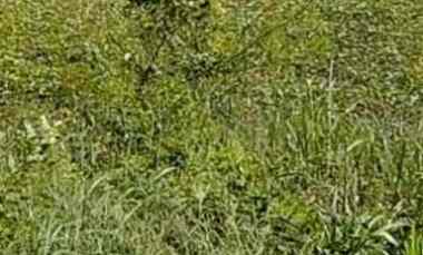 Kavling Gunung Anyar Rungkut Surabaya Hook dekat UPN Merr