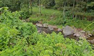 Tanah Kebun Villa dan Sawah Pamijahan Bogor View Pegunungan