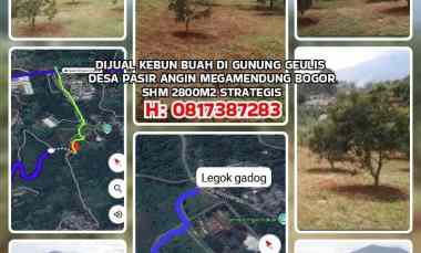 Dijual Kebun Buah di Gunung Geulis Desa Pasir Angin Megamendung Bogor