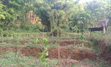 Tanah Murah Edisi Bu Murah Strategis di Gunungsari Kota Batu