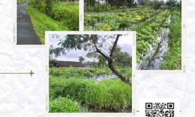 Jual Tanah 2.869 m2 di Pakem Sleman Yogyakarta dekat Pasar Pakem