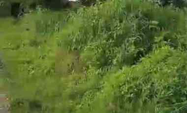 Dijual Tanah Industri di Mojokerto