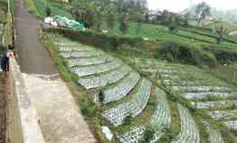 Dijual Tanah Istimewa Tawangmangu Karanganyar