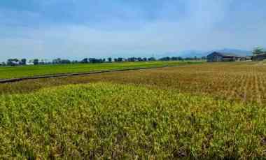 Tanah untuk Perumahan dekat Podomoro Park Buah Batu Bandung