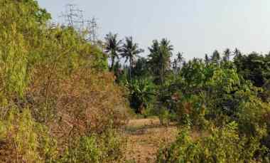 Dijual Tanah 1 Hektar dekat Bias Tugel Beach Padangbai Karangasem Bali