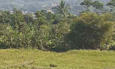 4809 m2 Tanah Kebun Pinggir Jalan Cikamuning Sadang, Ciburuy, Bandung