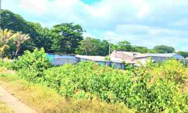 Dijual Tanah 1433 m2 jl Ida Bagus Mantra Tulikup Gianyar Bali