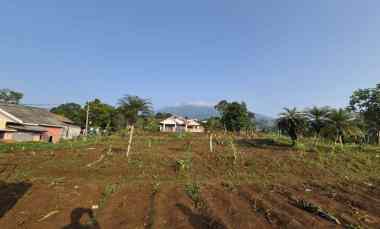 dijual tanah jalan ciburayut cigombong