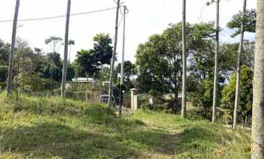 Tanah Dijual di jalan cijeruk tajur halang bogor