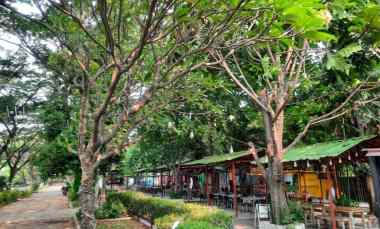 Dijual Aset Tanah Murah 3,7 H Surat SHM Harga di Bawah Pasaran