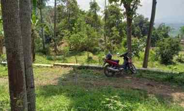 56,68 Ha Tanah Kebun Pinggir jl Ds. Malasari, Cimaung, Kab. Bandung