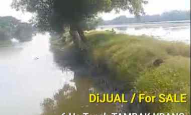 Murah Dijual 6 Ha Tanah Tambak Udang Kec. Jabon Sidoarjo Jawa Timur