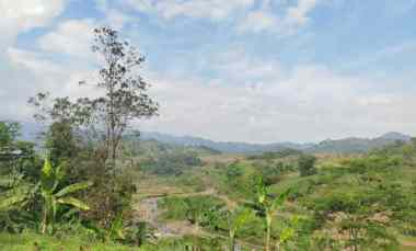 Tanah Dijual di Jalan desa Pabuaran Sukamakmur bogor