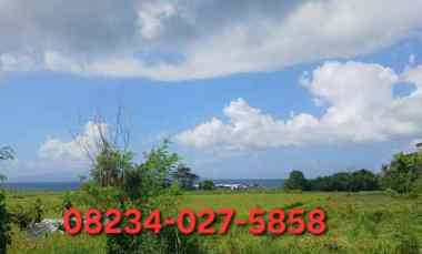 Dijual Tanah 24 are jl Ida Bagus Mantra dekat Siyut,Tulikup Gianyar Bali