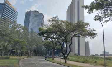 Dijual Kavling Komersial di Jalan Jalur Sutera Boulevard, Alam Sutera