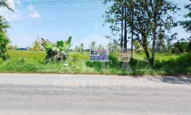 Jual Cepat Tanah Jalan Utama Sampai Laut Cocok Usaha Resort Resto