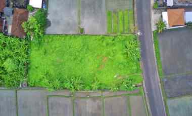 Dijual Tanah di Pangkung Tibah dekat Ciputra Resort Kediri Tabanan Bali